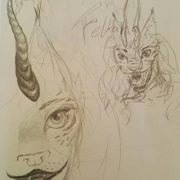 Felkana