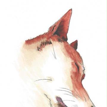 愛犬