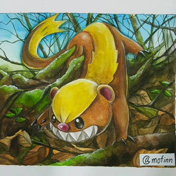 Yungoos ヤングース the new pokemon!!