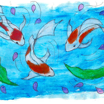 Koi