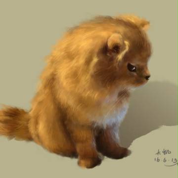 练习-猫