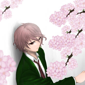 桜