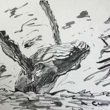 クジラ