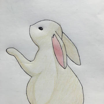 ウサギ