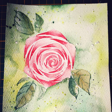 rose