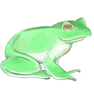 カエル