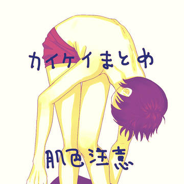 カイケイつめ