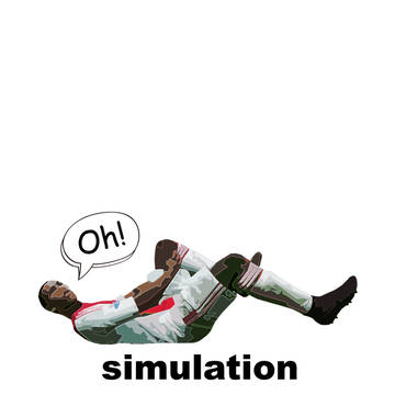 simulation