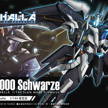 ヴァルハラ戦記  Schwarzeモデル化のパッケ絵