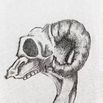 上课的铅笔画