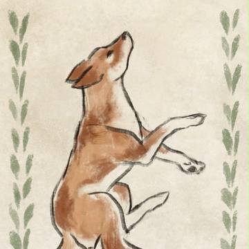 Spitz