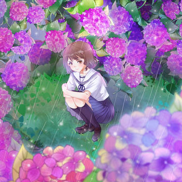 紫阳花