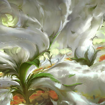 云花