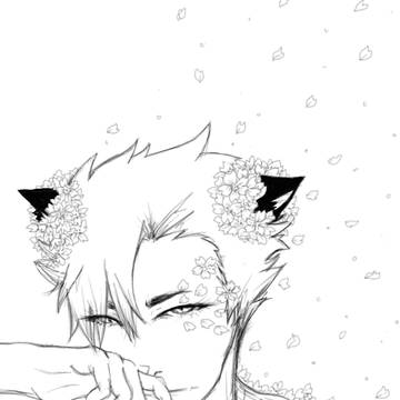Black Cat