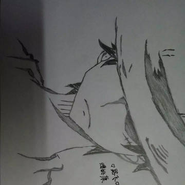 路飛