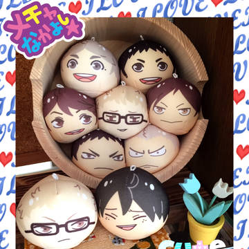 2016年我家のハイキュー‼︎っ子達♡ Vol.1