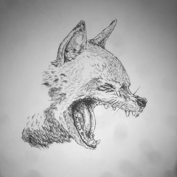 Hyena