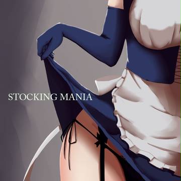 ストッキングマニア