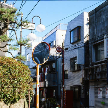 ここから出ちゃダメ