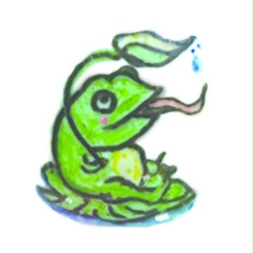 雨蛙