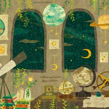 Astronomical Observation