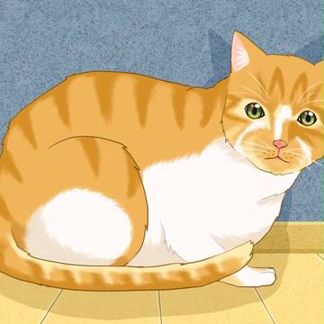 猫