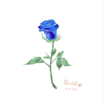 青い薔薇