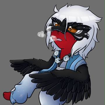 Com : Crow feathers