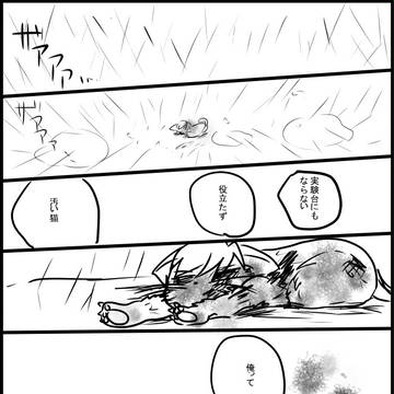 黒猫と契約