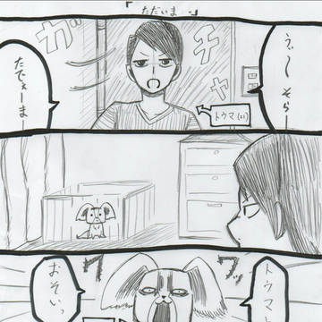 ウチの犬　そらくん。