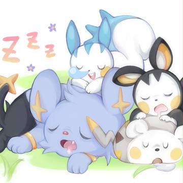 poke nap