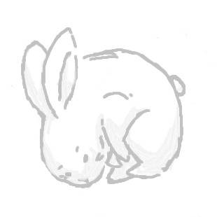 兎
