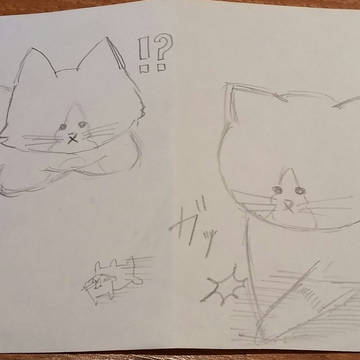 ぽんたとアルフ