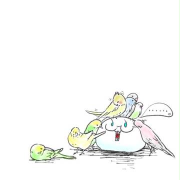 インコと遊ぶもちめり