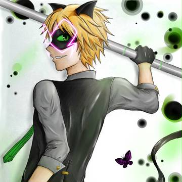 Akumatized Chat Noir.