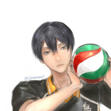 Haikyuu!!(log