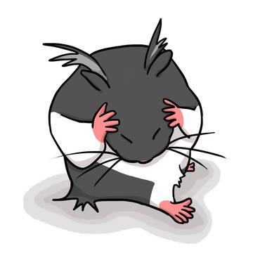 馬卡茸