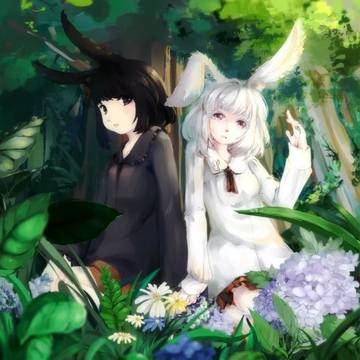 黑白兔
