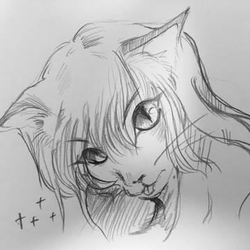 ねこ