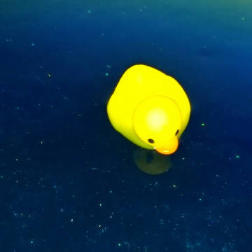 インターギャラクティックアヒル