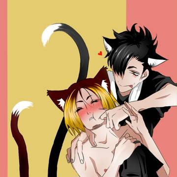 Cat Fight