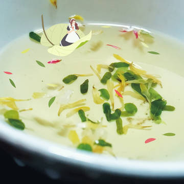 金银花茶