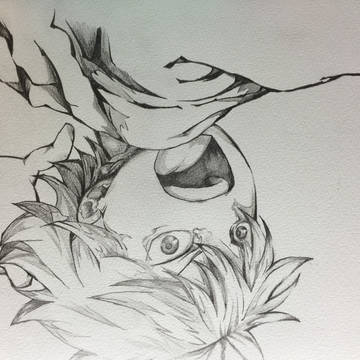 日向翔陽