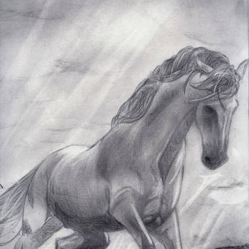 駆ける馬
