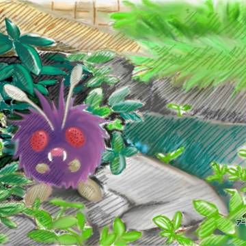 ７がつ３１にち　きょうは コンパンを みつけた