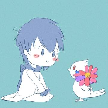 詰め合わせ