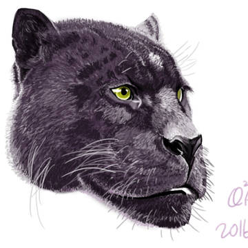 2016.8.2