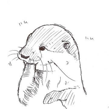 カワウソ
