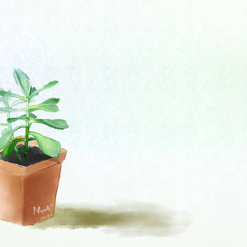 我家肉肉长疯了[私の植物の成長]