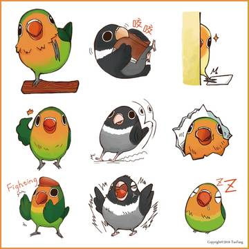Naughty lovebird in Taiwan